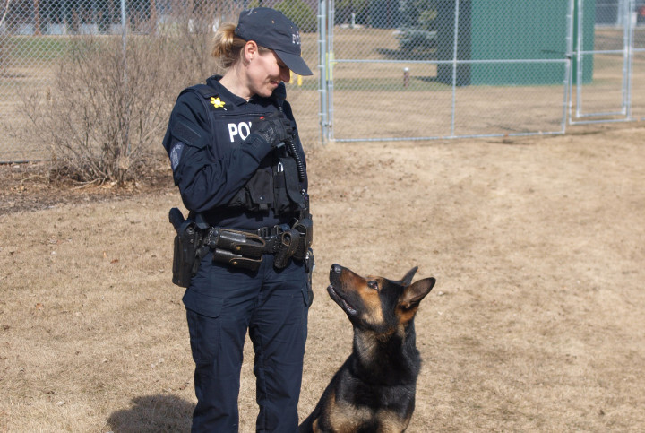 Constable Regan Wojcik, Police Dog Handler