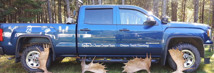 Stolen blue pickup truck with white wildlife themed decals