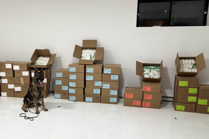 SQ police dog in front of seized drugs.