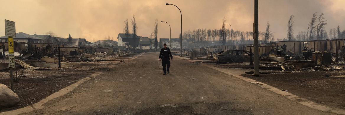 A male police officer walks down a residential street lined with the burnt-out shells of houses and cars, while thick smoke fills the sky. 