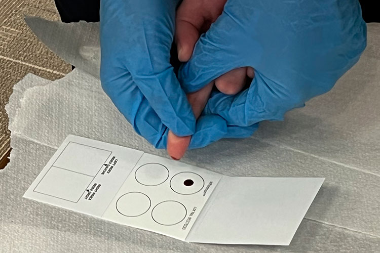 An individual adds a blood droplet to a DNA test kit page.
