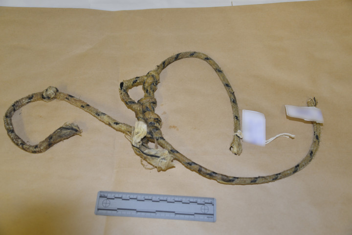rope of kernmantle construction and is white with two black tracers in the sheath weave