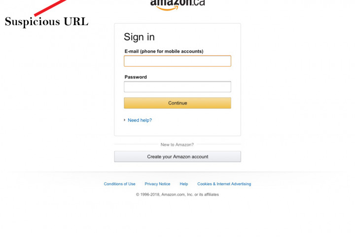 Email example of fraudulent Amazon order