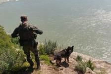 Officier avec un chien policier près de l'eau