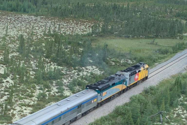 train driving through dense terrain