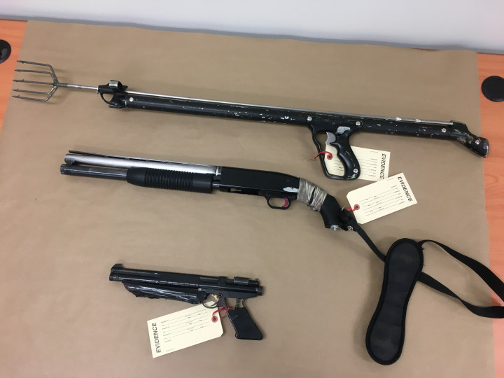 A sawed-off shotgun, ammunition, a replica handgun, a spear-gun.