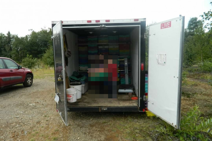 Glovertown RCMP investigates theft of a black 14 foot enclosed utility trailer with swing doors in the back, V-cut front and steel diamond plating half-way up the front from land near E.S. Spencer Bridge.