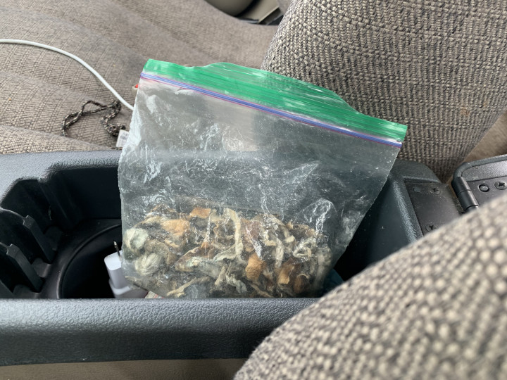 Twenty grams of mushrooms seized by Bay St. George RCMP during a traffic stop in Burgeo on October 11. 
