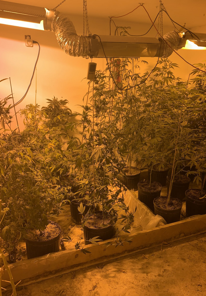 Marihuana grow operation
