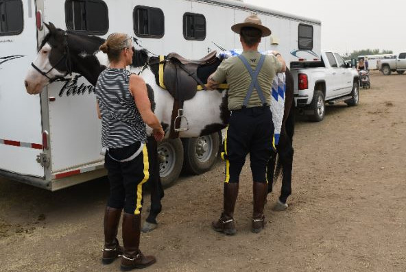 Sergeant Dennis Silliker and Constable Tina Platford ready their horses for the opening ceremonies – brushing them out, saddling them up and securing the star blanket, meant to honour the Lakota People – those both living and gone - on the croup of one horse