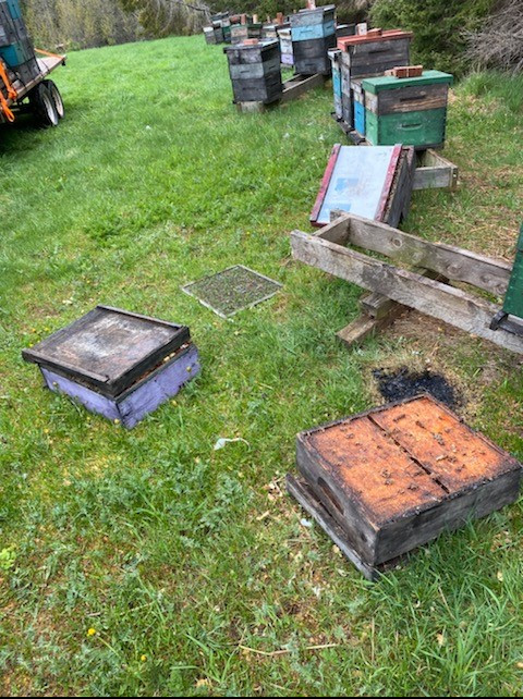 section of the stolen beehive left at the scene of the theft