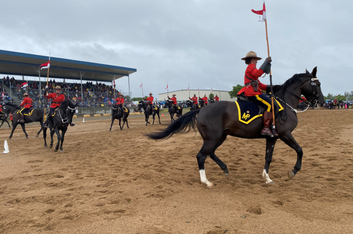 Les chevaux et les cavaliers du Carrousel de la GRC se promènent sur le terrain à Assiniboia.