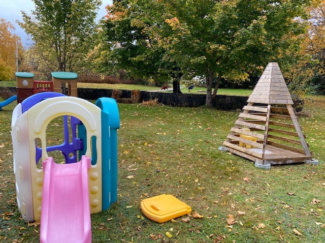 A grassy playground area is pictured with a plastic play structure and a wooden play structure. Large trees are observed in the background.