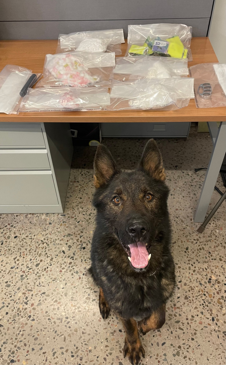 RCMP police dog Kilo sitting in front of seized drugs and items