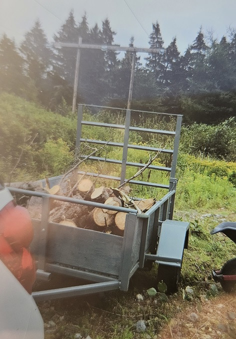 Photo d'une petite remorque utilitaire faite maison remplie de bois.