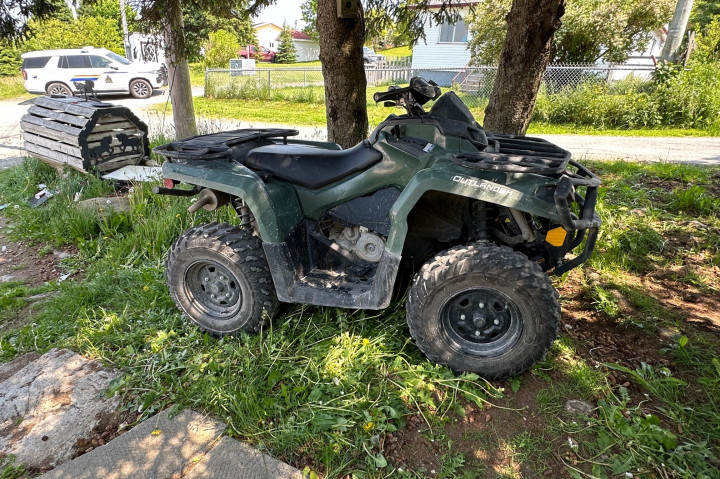 A green ATV is parked next to some trees.