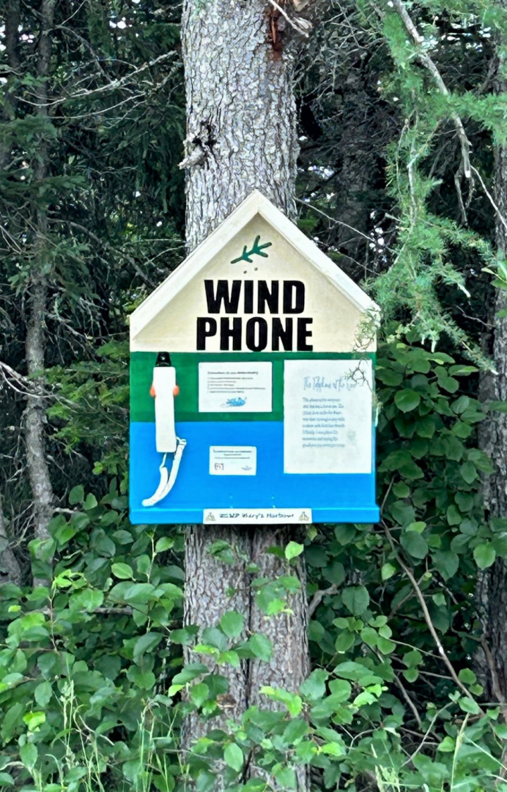 A photo of a 'Wind Phone' on a tree in the woods.