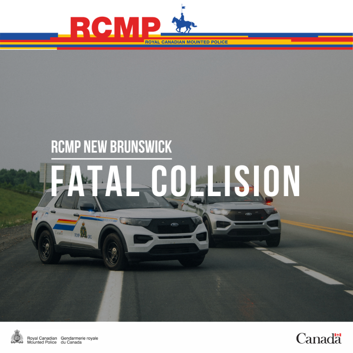 Fatal collision