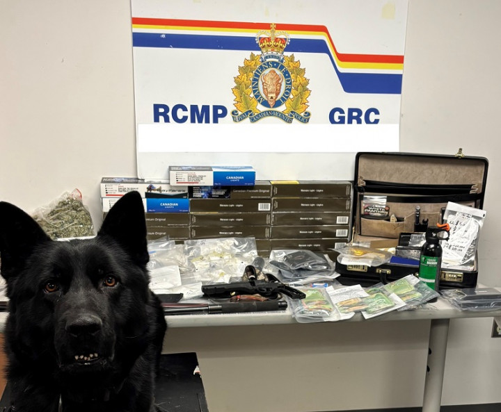 A German Shepherd dog sits in front of a table that displays a number of seized items by the RCMP, including drugs, cash and contraband tobacco.