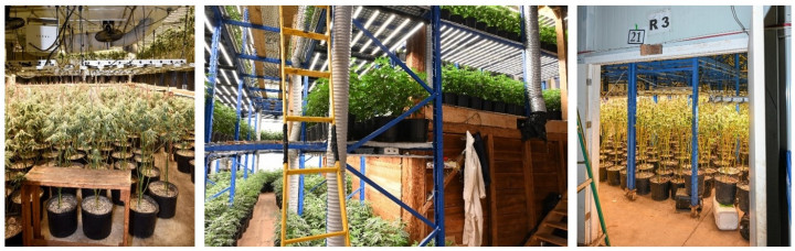 Photos prises à l'intérieur des installations de culture illicite démantelées