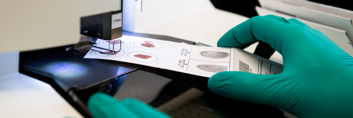 Des mains gantées passent une carte d'échantillons sanguins et d'empreintes digitales dans un appareil de laboratoire.