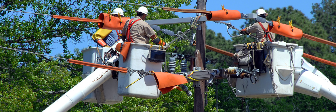 Three bucket trucks lift linemen to the top of a utility pole.