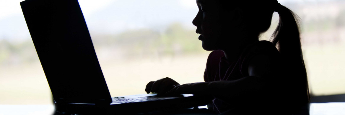 Girl at laptop covered in shadows.