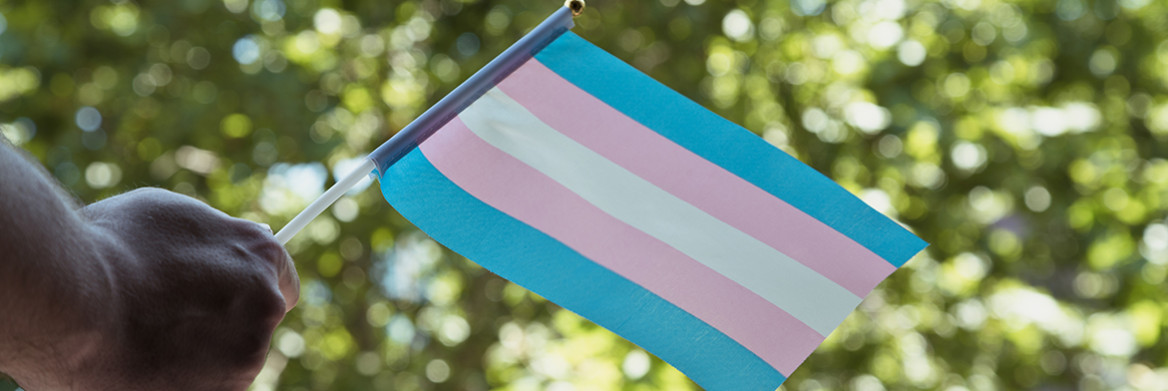 A hand holds a blue, pink and white transgender pride flag.